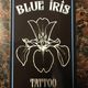 blue iris tattoo & body piercings