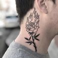 Neoimmigrant