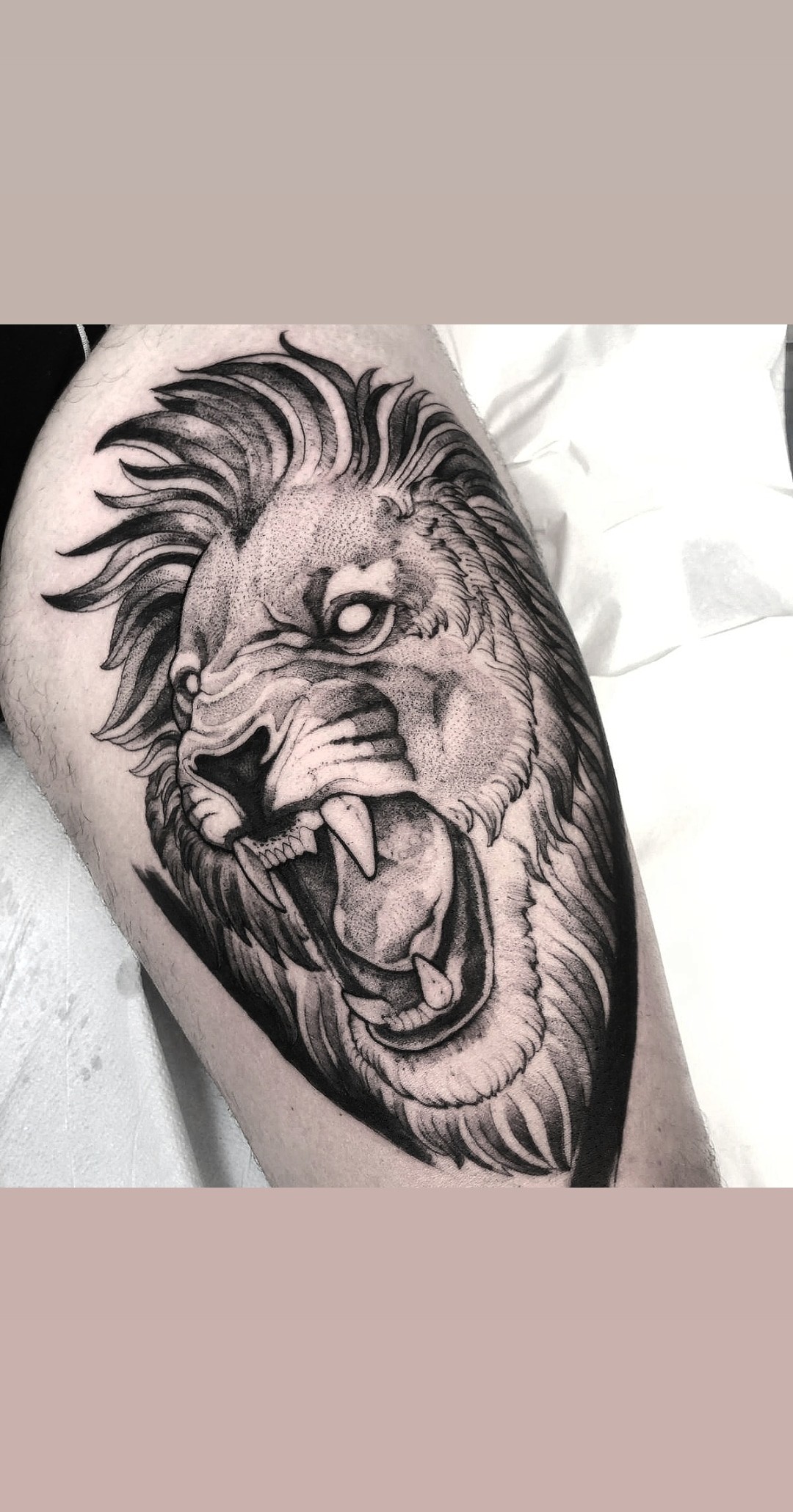 Black Lion Tattoo  ClipArt Best