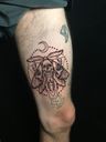 phidipidies