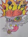 NW Design & Graphics