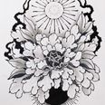 Lilly Binns