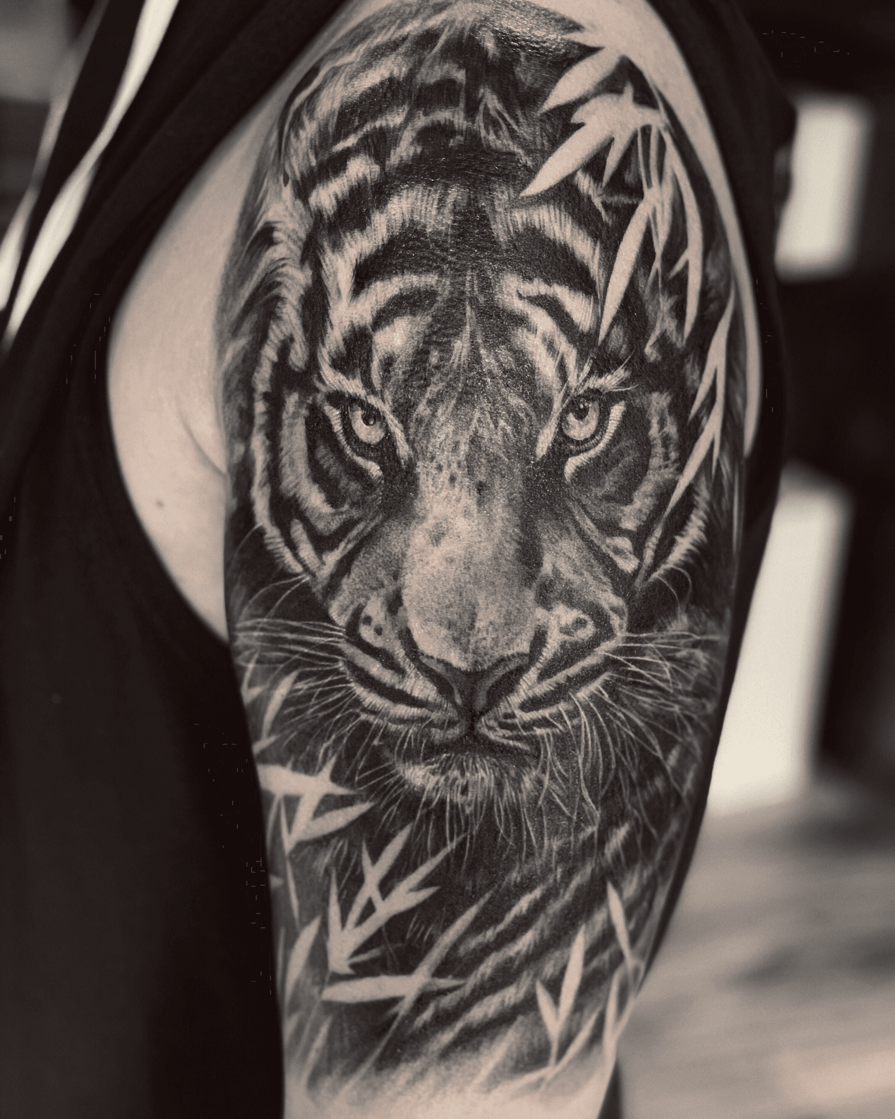 Tattoo uploaded by spaceblack  Tiger realism black grey specialist   Tattoodo