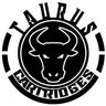 Taurus Cartridges Needles