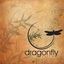 Dragonfly Body Art