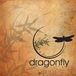 Dragonfly Body Art