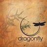 Dragonfly Body Art