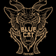 Blue Cat Estudio