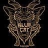 Blue Cat Estudio