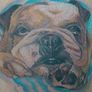 Bulldog Ink. Tattoo & Piercing Studio