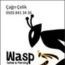 Wasp Tattoo & Piercing