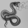 Sacred Serpent Tattoo Studio