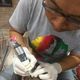 Kute Lombok Ink Action Tattoo Studio