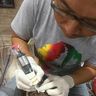 Kute Lombok Ink Action Tattoo Studio