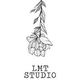 Luna Moth Tattoo Studio
