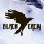 Black Crow Tattoo Studio