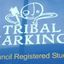 Tribal Markings