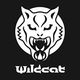 Wildcat Hungary Piercing & Tattoo Studio