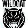 Wildcat Russia