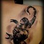 Scorpion Tattoo Orestiada