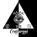 Centeuroni Studio