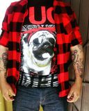 Saulo Xoloitzcuintle Garcia