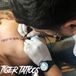 Tiger Tattoos nvlt