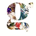 GiographyTattoo
