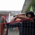 Gabriel Martins
