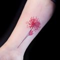 嗨森