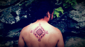 David Guillen