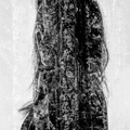 Sierra MP