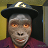 David Olmedo