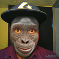 David Olmedo