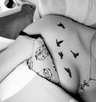 Elodie