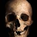 Cadaverous Inc Tattoo