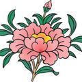 Esperanza
