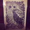 Bwr The Owls
