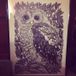 Bwr The Owls
