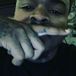 taz 504nation