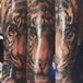 Infamous Body Ink