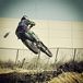 Blake Schodt