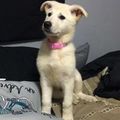 Cali Nicole Pilkington