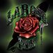 Derek LaRose