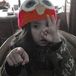 Molo GS
