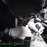 Lincoln Tansil