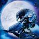 Raven Stargazer