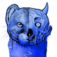 La Belette Bleue