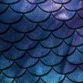 Stitch Stitch