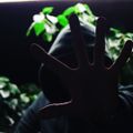 Weazelboy